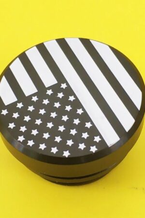 USA12V Plug